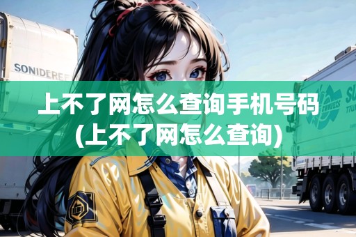 上不了網(wǎng)怎么查詢手機(jī)號碼(上不了網(wǎng)怎么查詢)