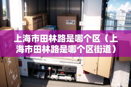 上海市田林路是哪個區(qū)（上海市田林路是哪個區(qū)街道）