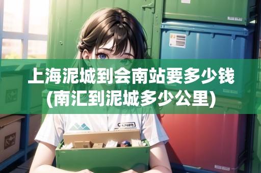 上海泥城到會(huì)南站要多少錢(qián)(南匯到泥城多少公里)