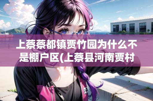 上蔡蔡都鎮(zhèn)賈竹園為什么不是棚戶區(qū)(上蔡縣河南賈村)