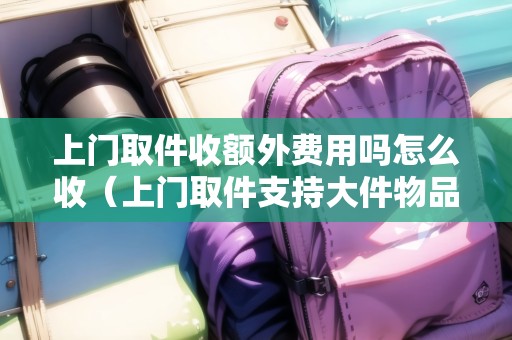 上門取件收額外費(fèi)用嗎怎么收（上門取件支持大件物品嗎怎么弄）