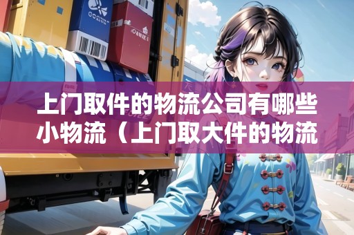上門取件的物流公司有哪些小物流（上門取大件的物流公司有哪些平臺(tái)）