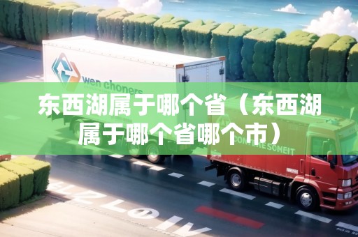 東西湖屬于哪個?。|西湖屬于哪個省哪個市）