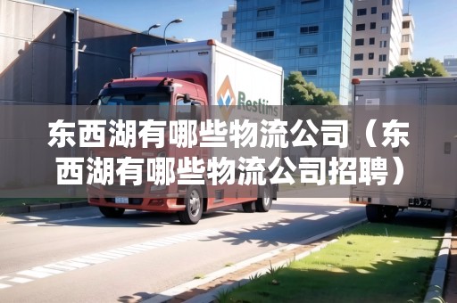 東西湖有哪些物流公司（東西湖有哪些物流公司招聘）