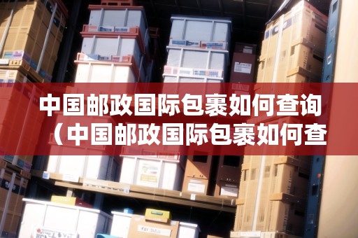 中國(guó)郵政國(guó)際包裹如何查詢(xún)（中國(guó)郵政國(guó)際包裹如何查詢(xún)物流信息）
