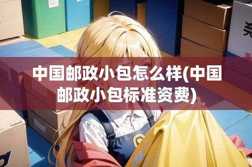 中國郵政小包怎么樣(中國郵政小包標(biāo)準(zhǔn)資費(fèi))