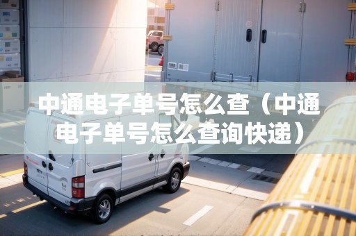 中通電子單號(hào)怎么查（中通電子單號(hào)怎么查詢快遞）