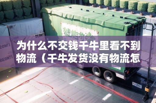 為什么不交錢千牛里看不到物流（千牛發(fā)貨沒有物流怎么辦）