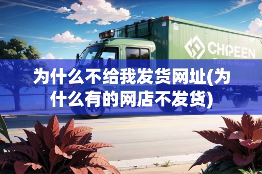 為什么不給我發(fā)貨網(wǎng)址(為什么有的網(wǎng)店不發(fā)貨)