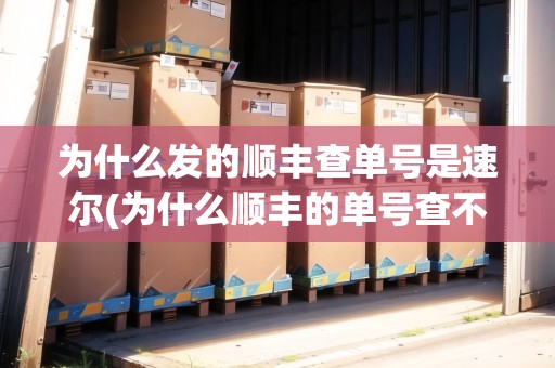 為什么發(fā)的順豐查單號是速爾(為什么順豐的單號查不到)