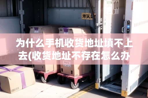為什么手機(jī)收貨地址填不上去(收貨地址不存在怎么辦呀)