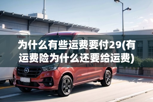 為什么有些運(yùn)費(fèi)要付29(有運(yùn)費(fèi)險(xiǎn)為什么還要給運(yùn)費(fèi))