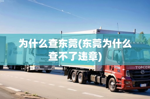 為什么查東莞(東莞為什么查不了違章) 為什么查東莞(東莞為什么查不了違章)