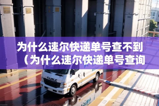 為什么速爾快遞單號查不到（為什么速爾快遞單號查詢不到了）