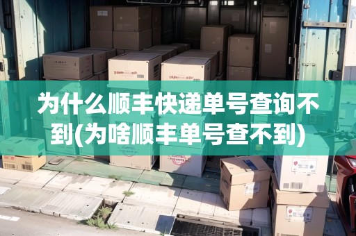 為什么順豐快遞單號(hào)查詢不到(為啥順豐單號(hào)查不到)