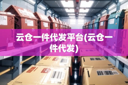云倉一件代發(fā)平臺(tái)(云倉一件代發(fā))