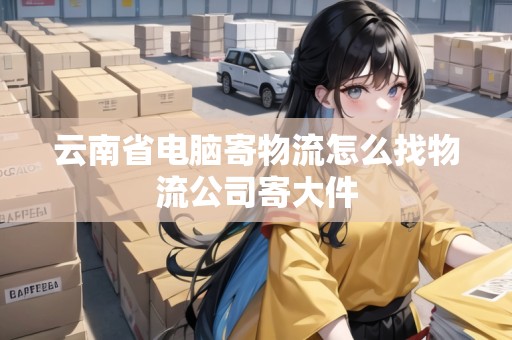 云南省電腦寄物流怎么找物流公司寄大件