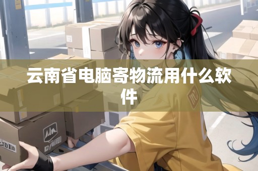 云南省電腦寄物流用什么軟件 云南省電腦寄物流用什么軟件