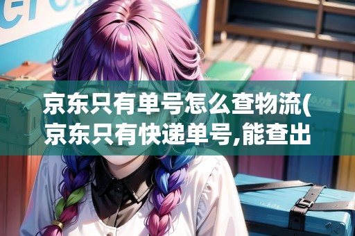 京東只有單號(hào)怎么查物流(京東只有快遞單號(hào),能查出是什么嗎安全嗎)