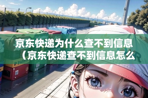 京東快遞為什么查不到信息（京東快遞查不到信息怎么回事）