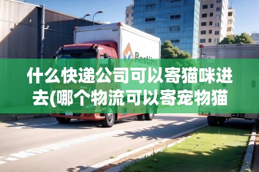 什么快遞公司可以寄貓咪進去(哪個物流可以寄寵物貓)