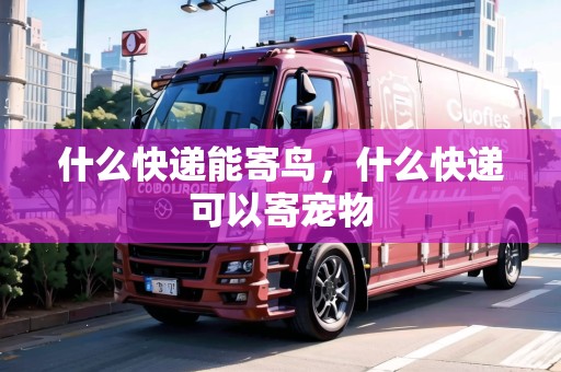 什么快遞能寄鳥，什么快遞可以寄寵物