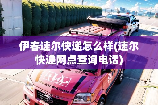 伊春速爾快遞怎么樣(速爾快遞網(wǎng)點查詢電話)