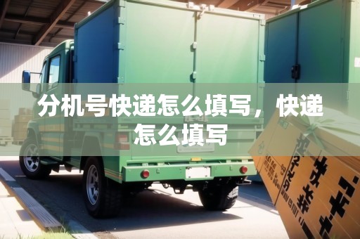 分機號快遞怎么填寫，快遞怎么填寫