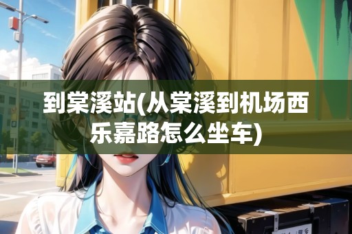 到棠溪站(從棠溪到機(jī)場西樂嘉路怎么坐車) 到棠溪站(從棠溪到機(jī)場西樂嘉路怎么坐車)