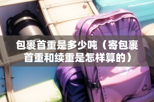 包裹首重是多少噸（寄包裹首重和續(xù)重是怎樣算的）