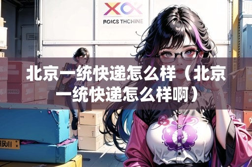 北京一統(tǒng)快遞怎么樣（北京一統(tǒng)快遞怎么樣?。? title=