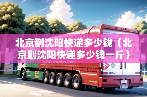 北京到沈陽快遞多少錢（北京到沈陽快遞多少錢一斤）