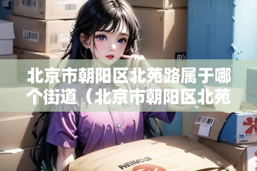 北京市朝陽(yáng)區(qū)北苑路屬于哪個(gè)街道（北京市朝陽(yáng)區(qū)北苑路屬于哪個(gè)街道辦事處）
