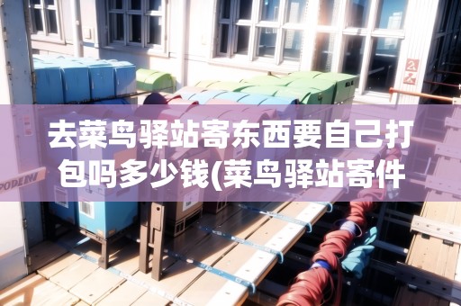 去菜鳥(niǎo)驛站寄東西要自己打包嗎多少錢(菜鳥(niǎo)驛站寄件要自備盒子嗎)