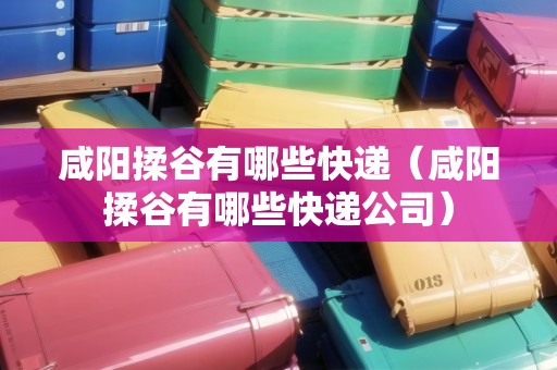 咸陽(yáng)揉谷有哪些快遞（咸陽(yáng)揉谷有哪些快遞公司）