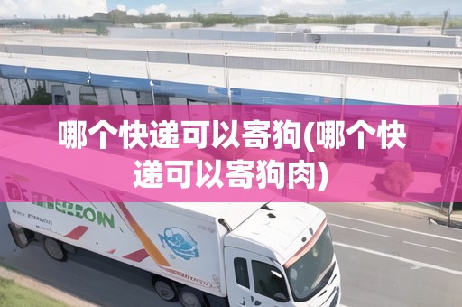 哪個(gè)快遞可以寄狗(哪個(gè)快遞可以寄狗肉)