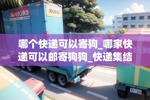 哪個(gè)快遞可以寄狗_哪家快遞可以郵寄狗狗_快遞集結(jié)地
