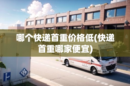 哪個(gè)快遞首重價(jià)格低(快遞首重哪家便宜)