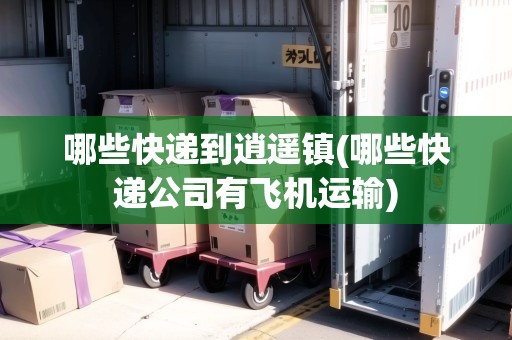 哪些快遞到逍遙鎮(zhèn)(哪些快遞公司有飛機運輸)