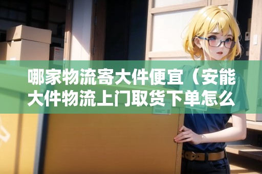 哪家物流寄大件便宜（安能大件物流上門取貨下單怎么操作）