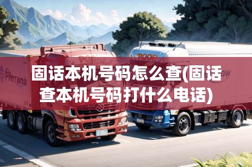 固話本機(jī)號(hào)碼怎么查(固話查本機(jī)號(hào)碼打什么電話)