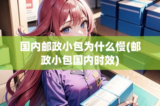 國內(nèi)郵政小包為什么慢(郵政小包國內(nèi)時效)