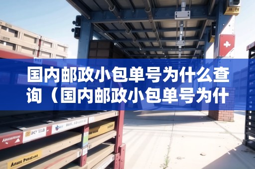 國內郵政小包單號為什么查詢（國內郵政小包單號為什么查詢不到）
