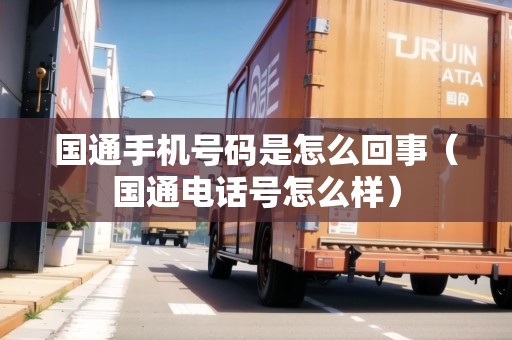 國通手機號碼是怎么回事（國通電話號怎么樣）