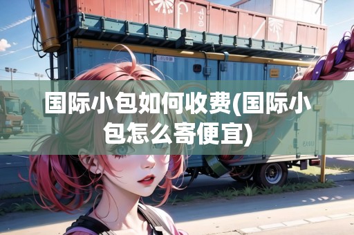 國際小包如何收費(fèi)(國際小包怎么寄便宜)