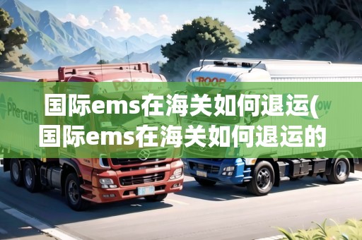 國際ems在海關(guān)如何退運(國際ems在海關(guān)如何退運的)