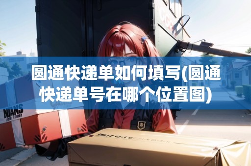 圓通快遞單如何填寫(xiě)(圓通快遞單號(hào)在哪個(gè)位置圖)