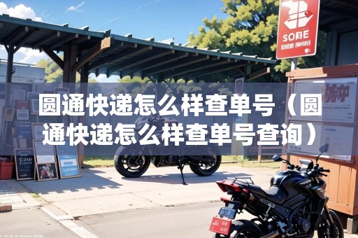 圓通快遞怎么樣查單號（圓通快遞怎么樣查單號查詢）