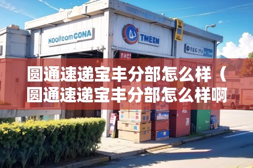 圓通速遞寶豐分部怎么樣（圓通速遞寶豐分部怎么樣?。? title=