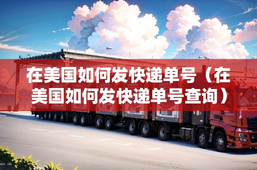 在美國如何發(fā)快遞單號（在美國如何發(fā)快遞單號查詢）